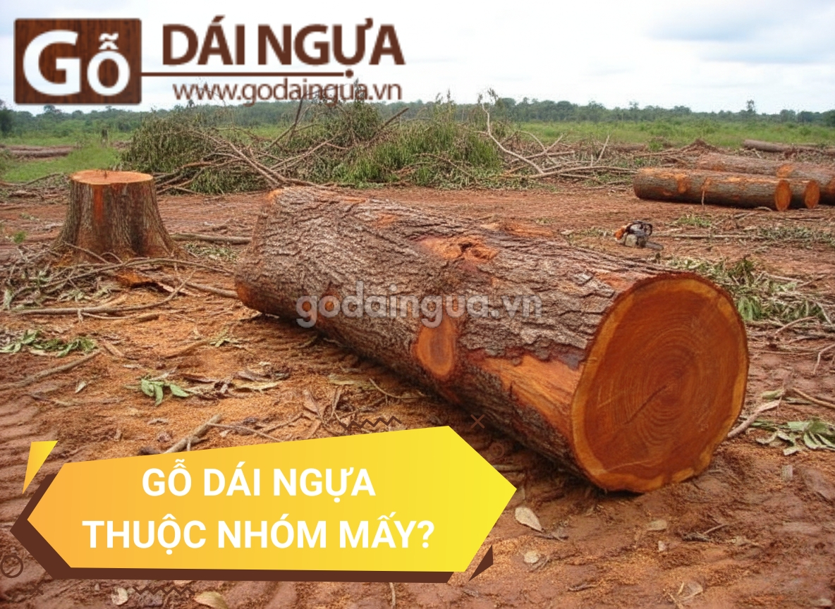 Gỗ Dái Ngựa thuộc nhóm mấy?