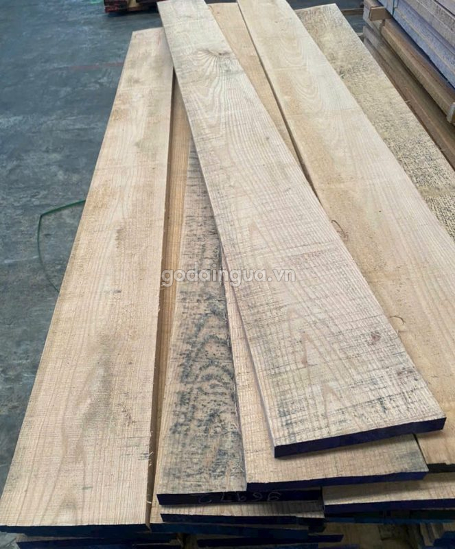 gỗ sồi đỏ xẻ sấy
