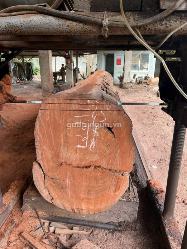 xưởng xẻ gỗ dầu