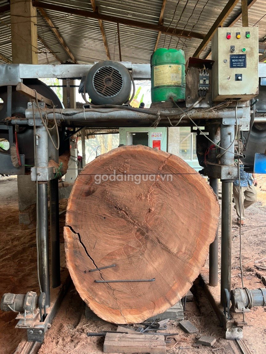 Không nên chọn gỗ dầu đỏ bị nứt nẻ