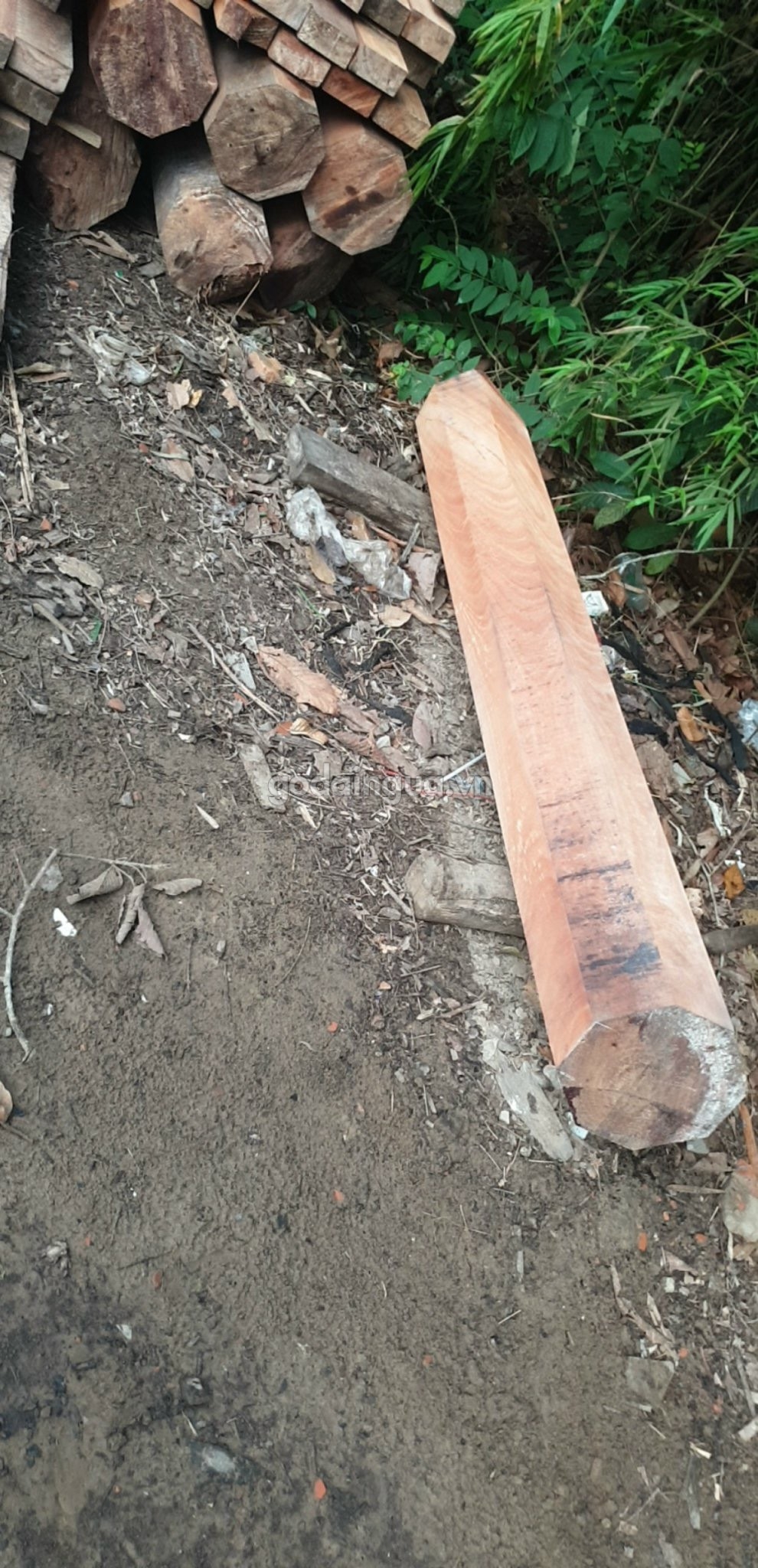 Gỗ dầu đỏ tròn