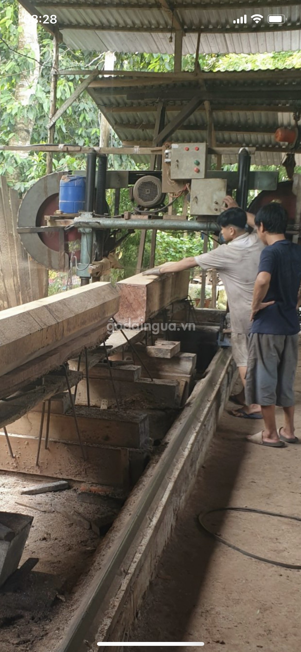 Báo giá Gỗ Dầu Đỏ mới nhất