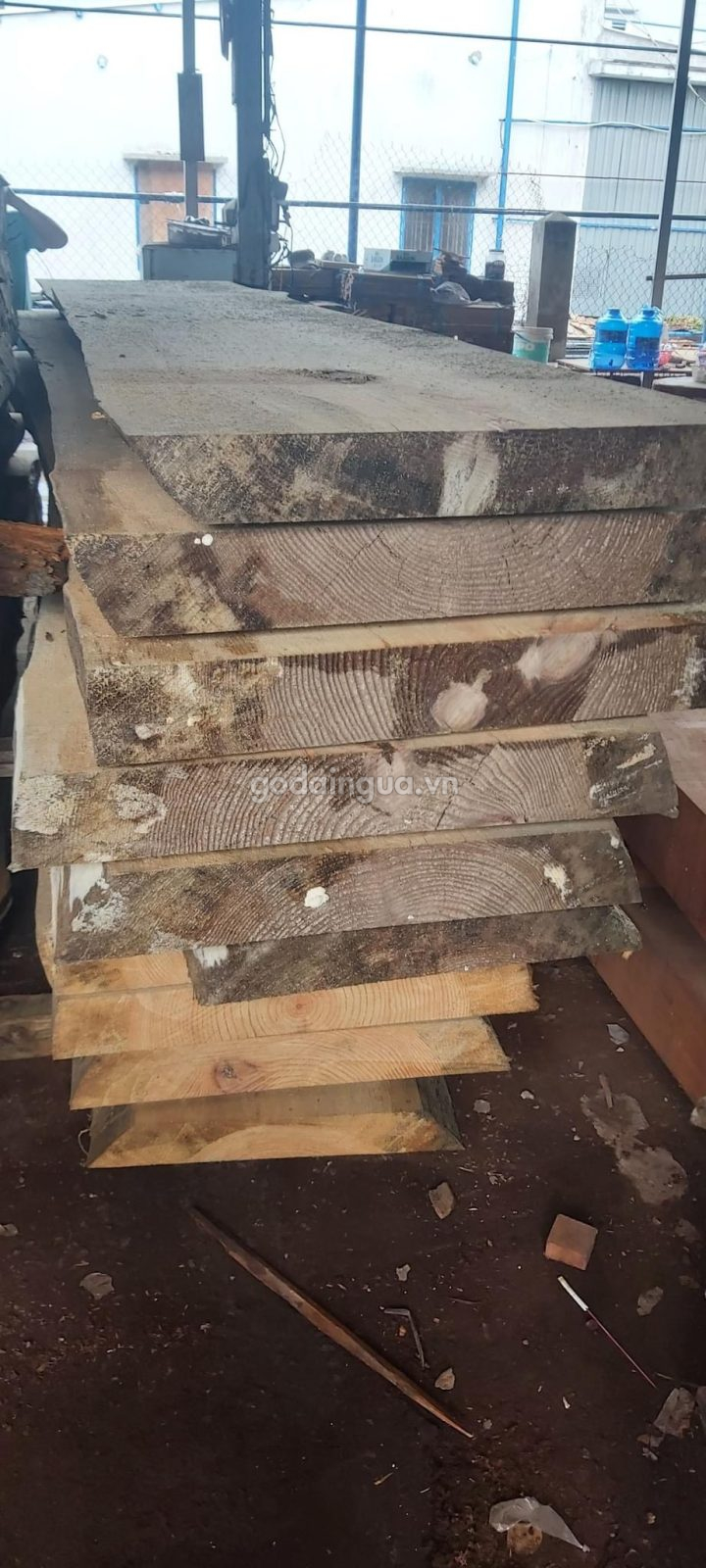 mặt bàn gỗ thông
