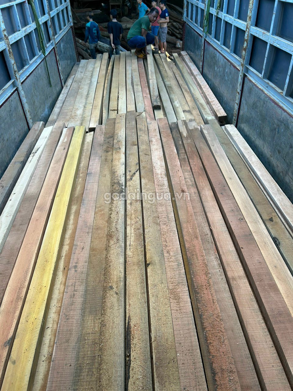 gỗ tạp
