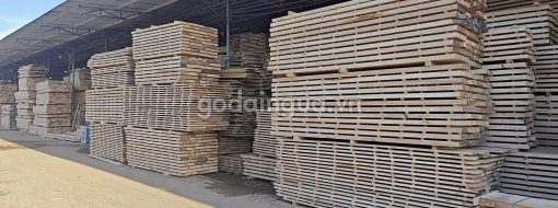 gỗ ash