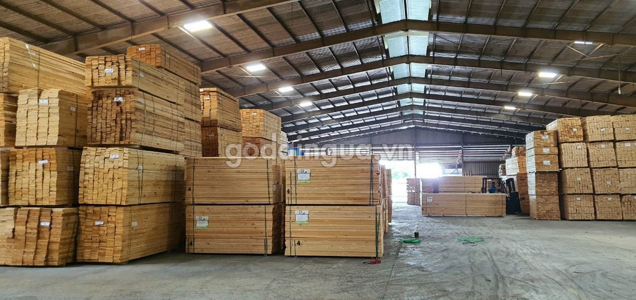 gỗ thông nhập khẩu hcm