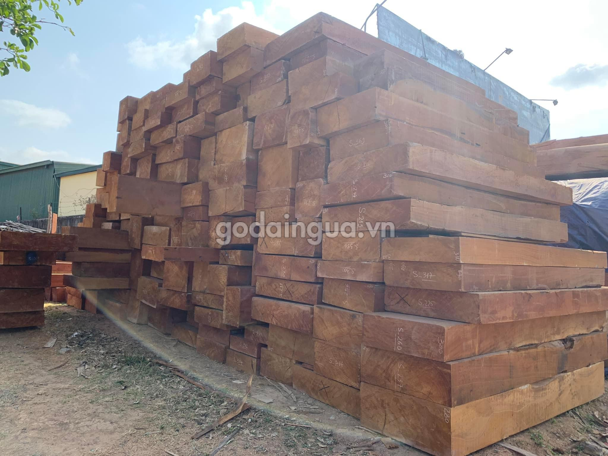 Chất lượng gỗ Sao Xanh tại Gỗ Dái Ngựa