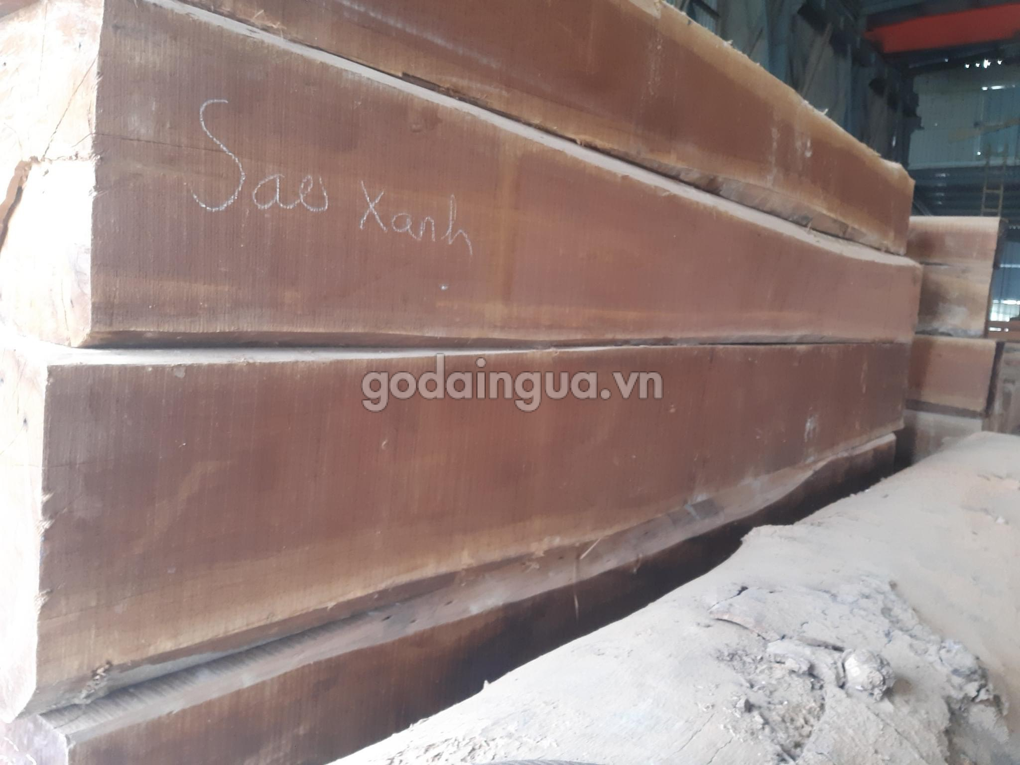 Ván gỗ Sao Xanh