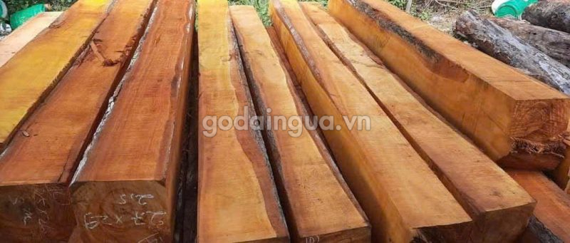 gỗ sao xanh hộp