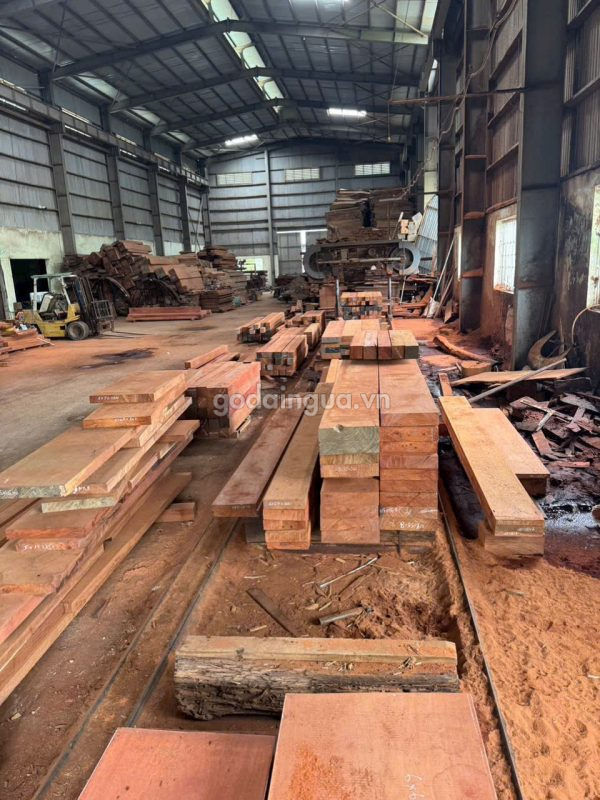 cung cấp gỗ dầu xẻ theo yêu cầu