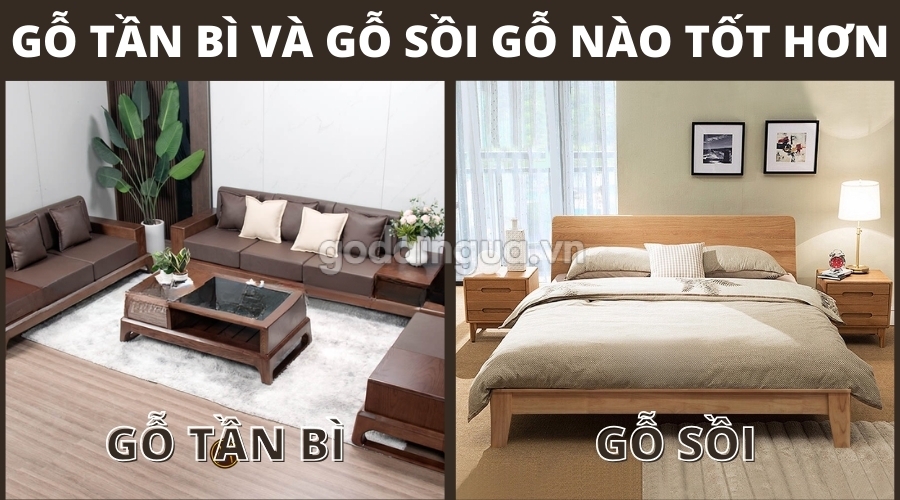 Gỗ tần bì và gỗ sồi