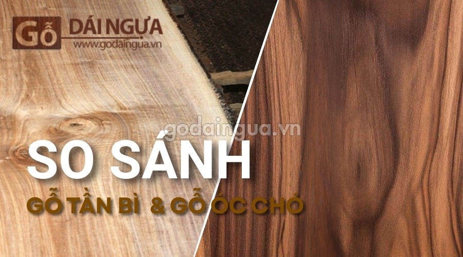 So sánh gỗ tần bì và gỗ óc chó