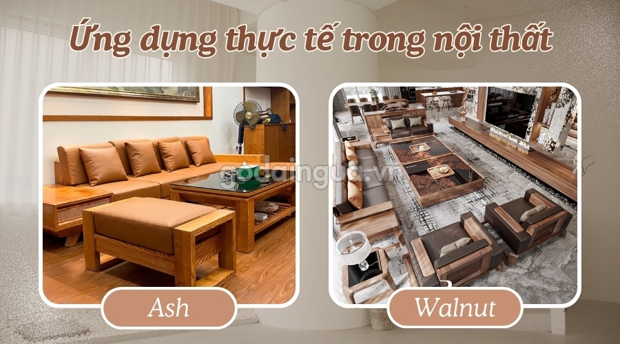 Ứng dụng thực tế của gỗ tần bì và gỗ óc chó trong nội thất