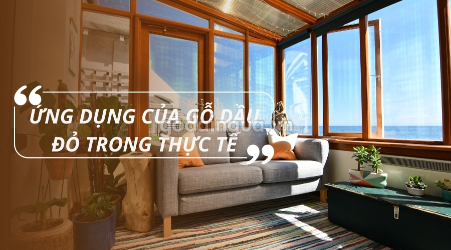Gỗ dầu đỏ có tốt không