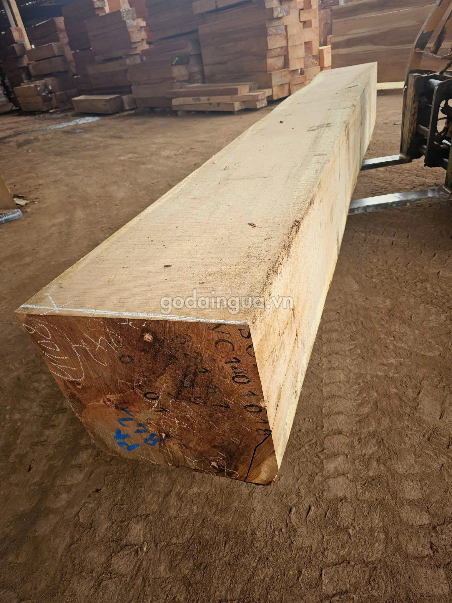 Giới thiệu về gỗ Sao Xanh