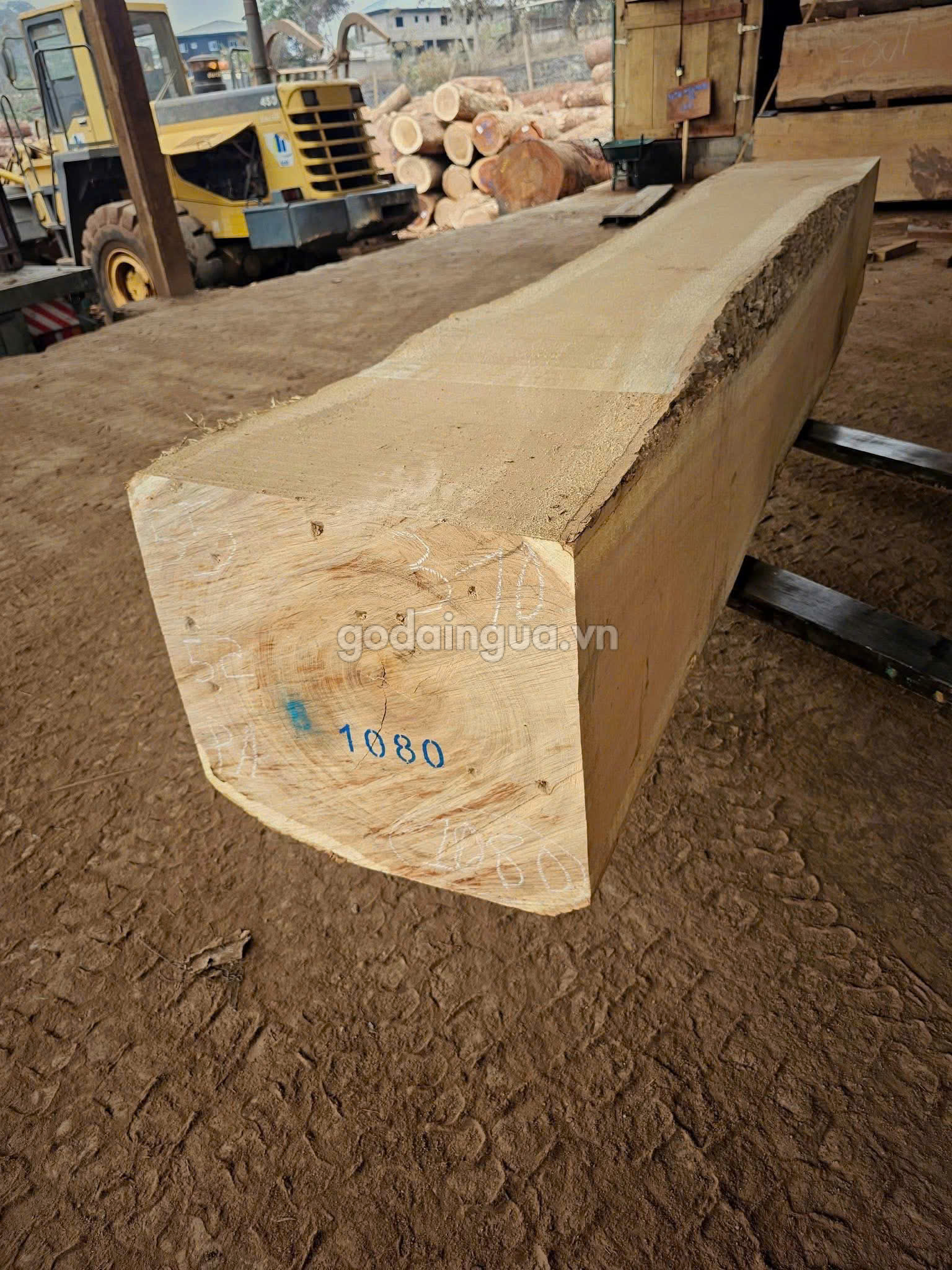 Giá gỗ Sao Xanh hộp