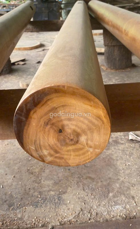 gỗ sao xanh tròn