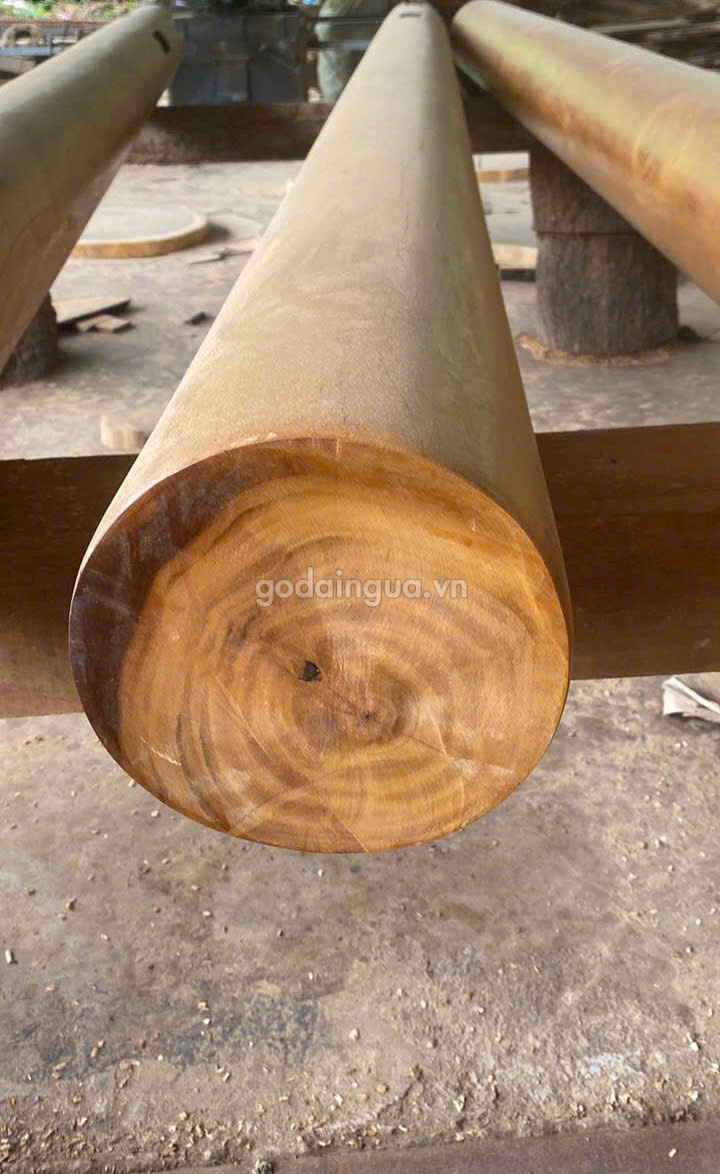 Gỗ Sao Xanh tròn