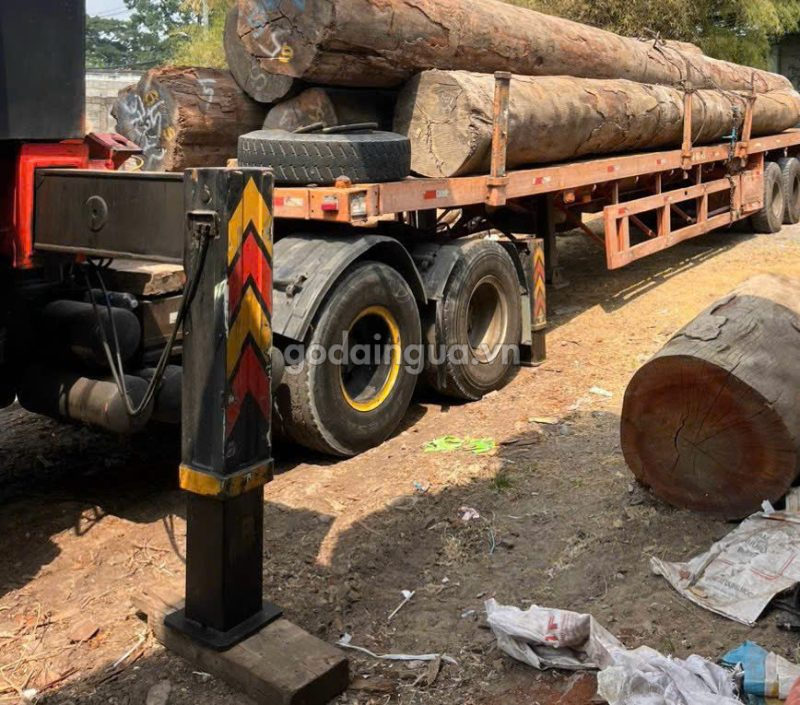 xưởng cưa gỗ dầu