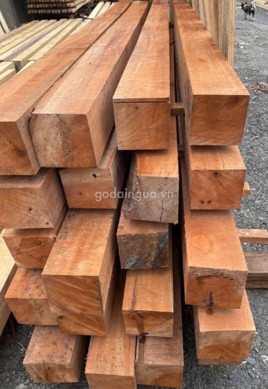 nhận biết gỗ dầu