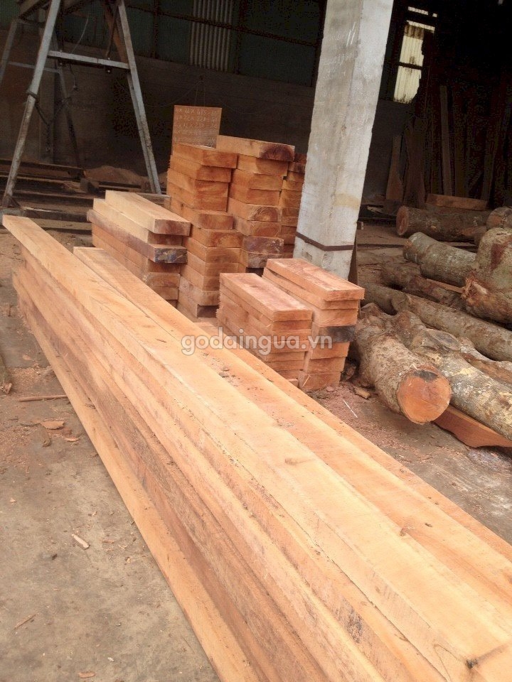 Giá gỗ Xà Cừ