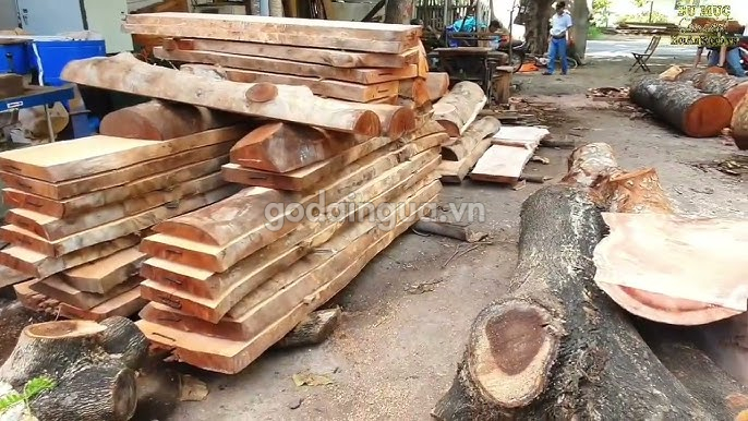 Giá gỗ Xà Cừ