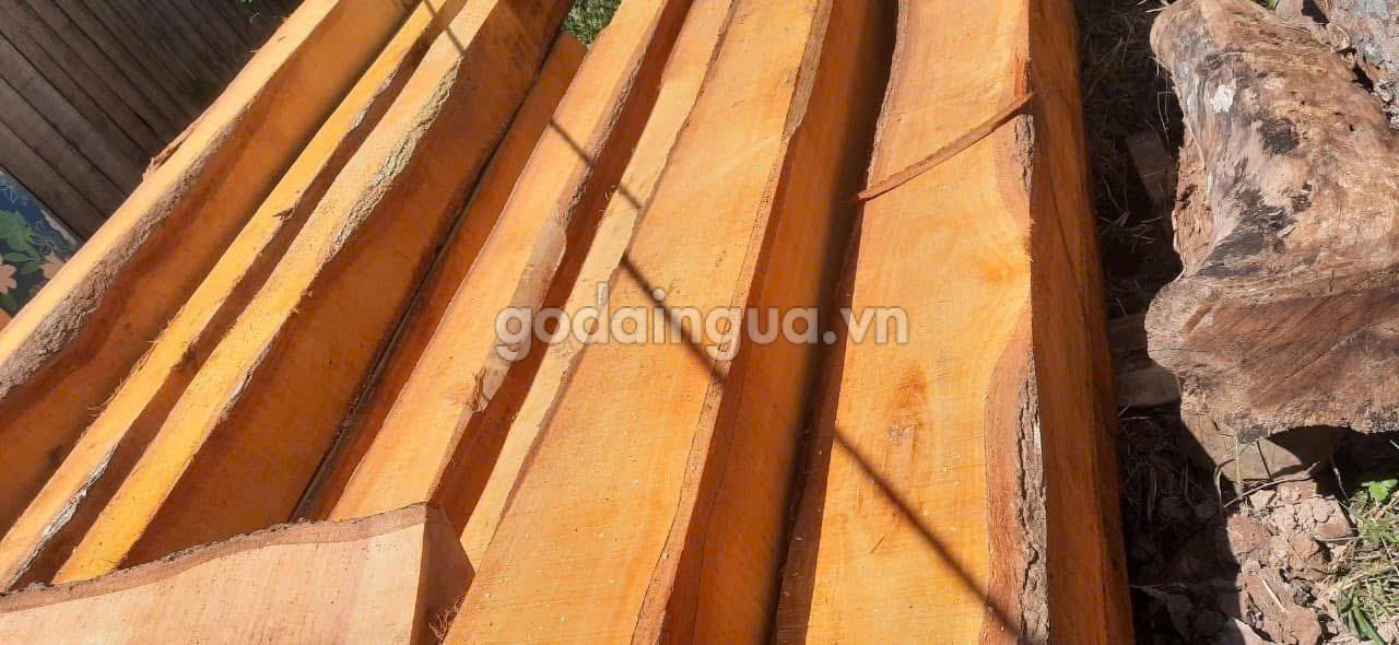 Gỗ Nguyên Liệu