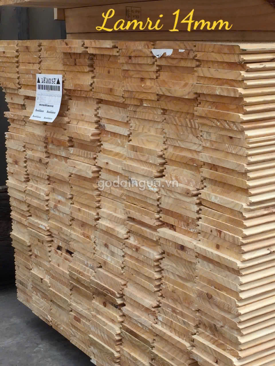 gỗ thông ốp tường