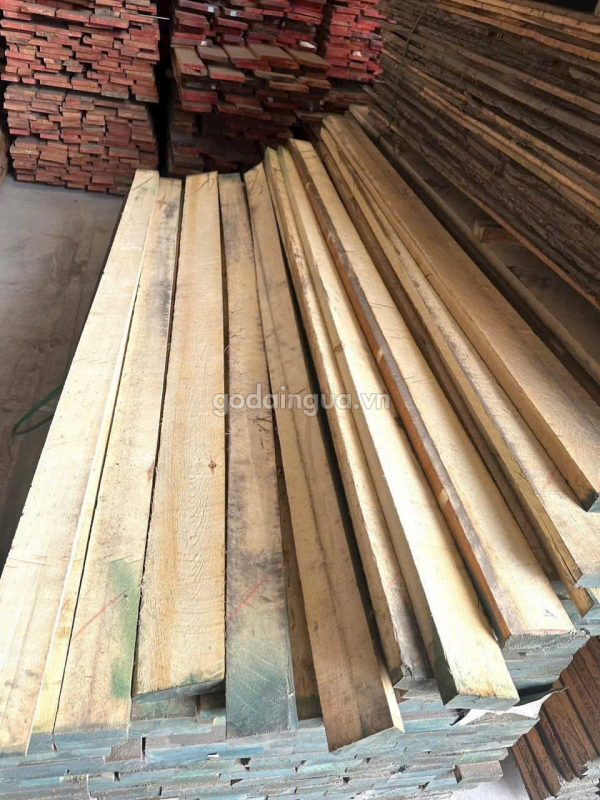 gỗ dương lá rụng