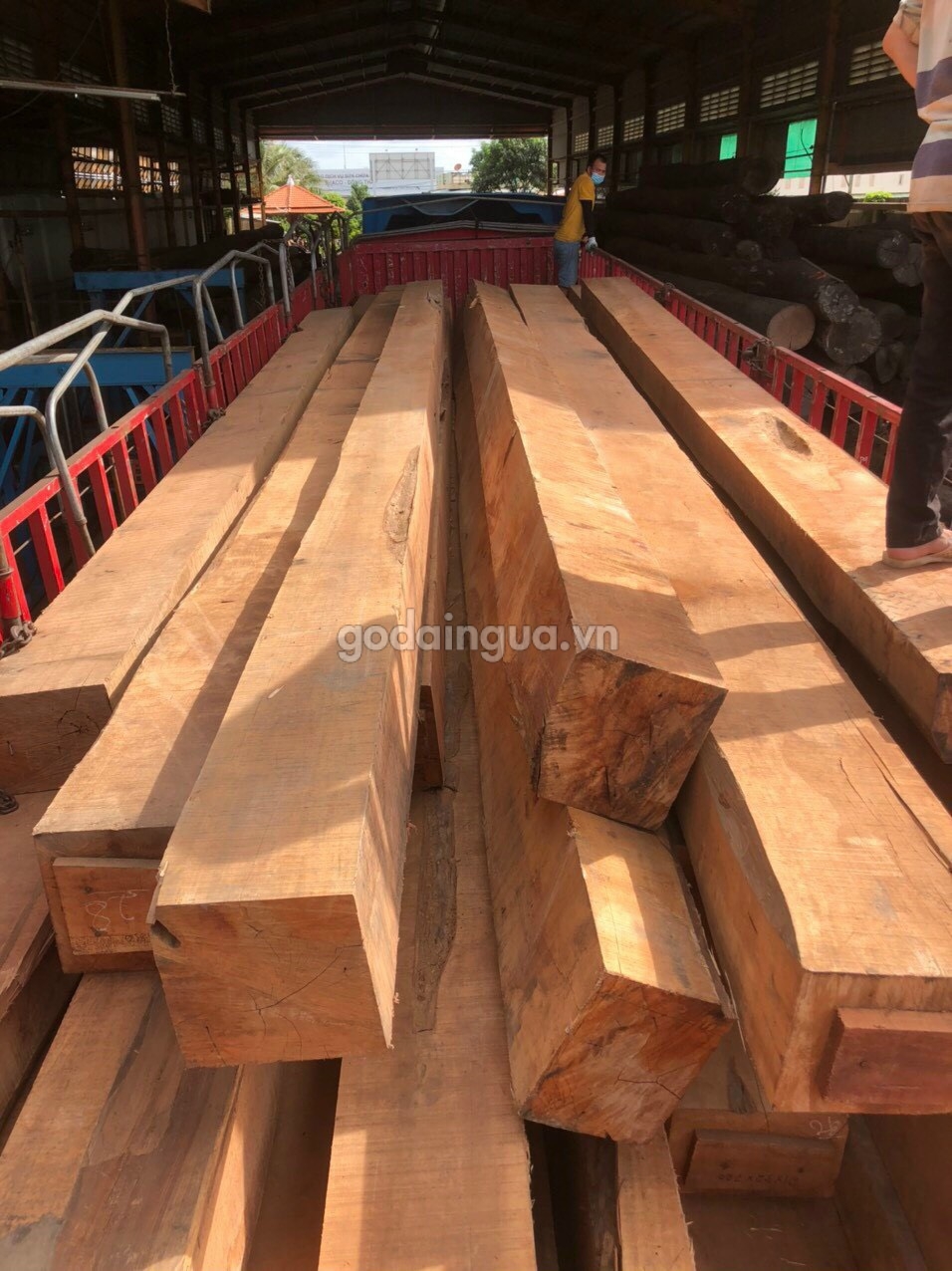 Ứng dụng gỗ Dầu đóng tàu biển