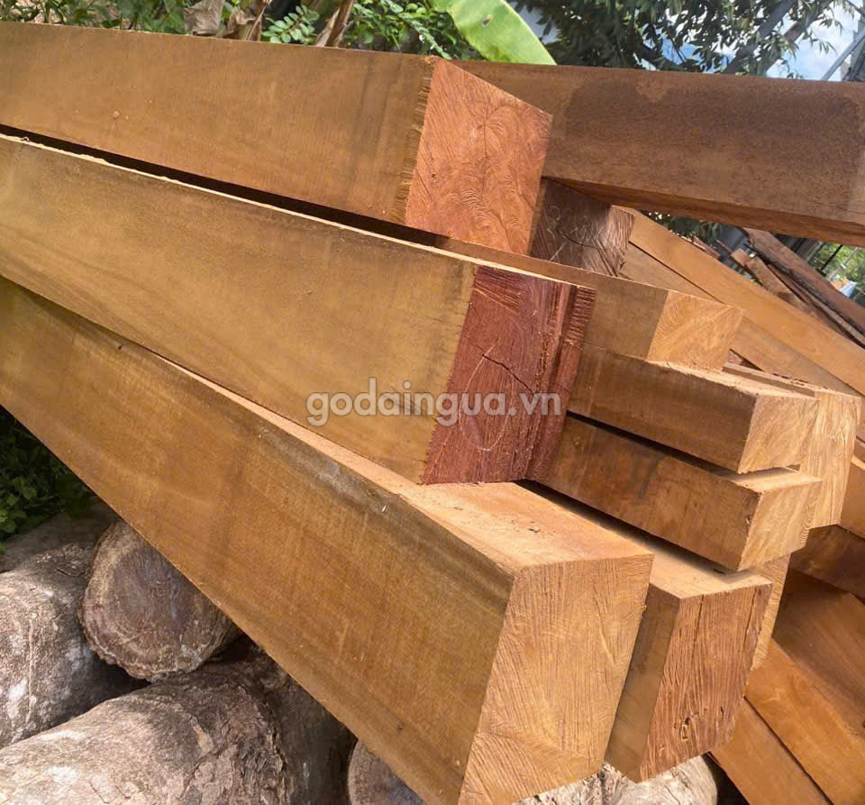 gỗ sao xanh khác sao đen như thế nào