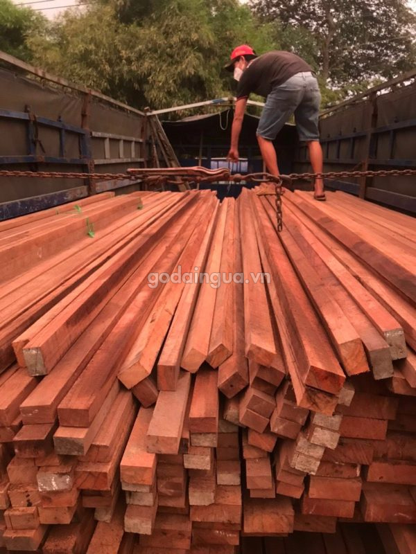 gỗ sao xanh khác sao đen như thế nào