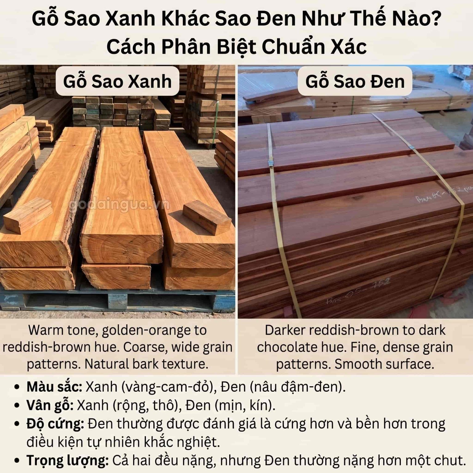 So sánh gỗ sao xanh khác sao đen như thế nào