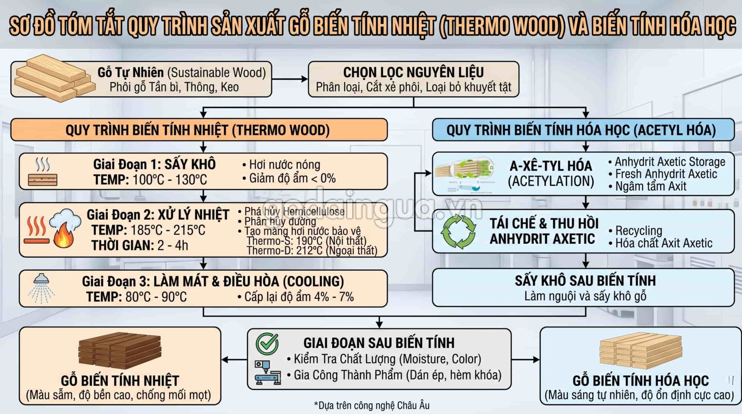Sơ đồ quy trình sản xuất gỗ biến tính đầy đủ