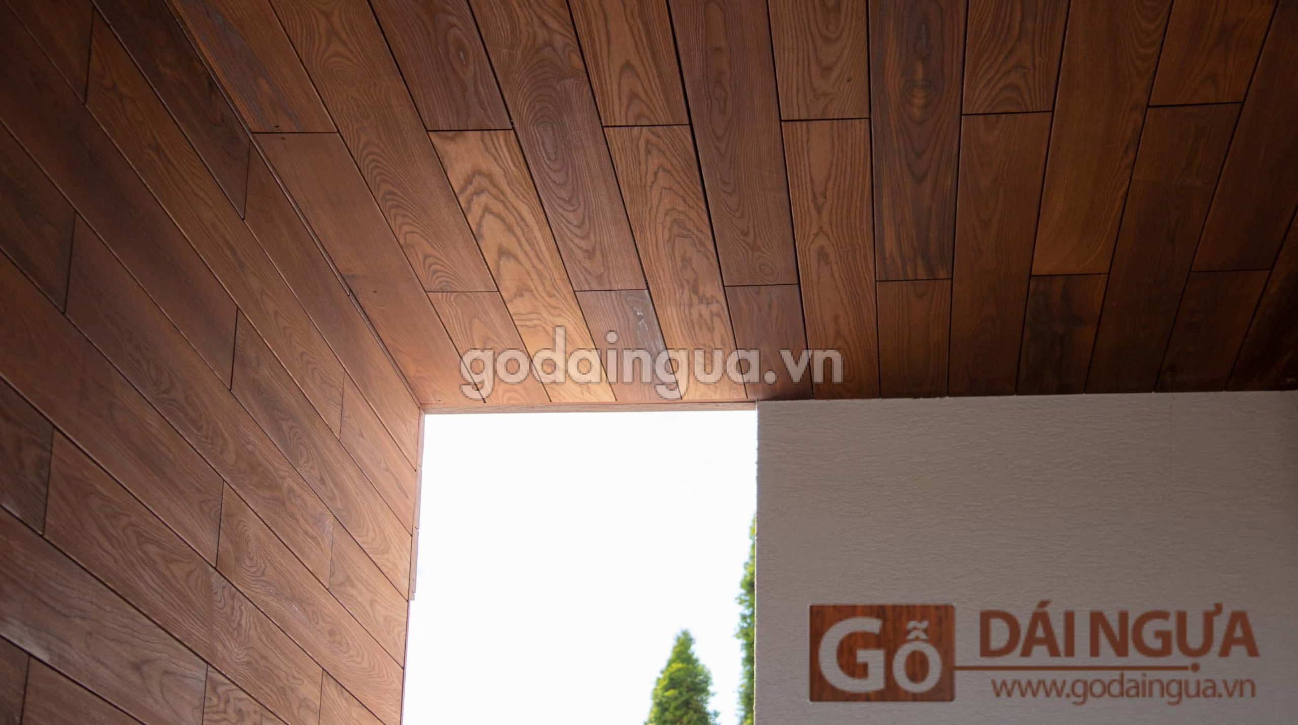 Quy trình sản xuất gỗ biến tính