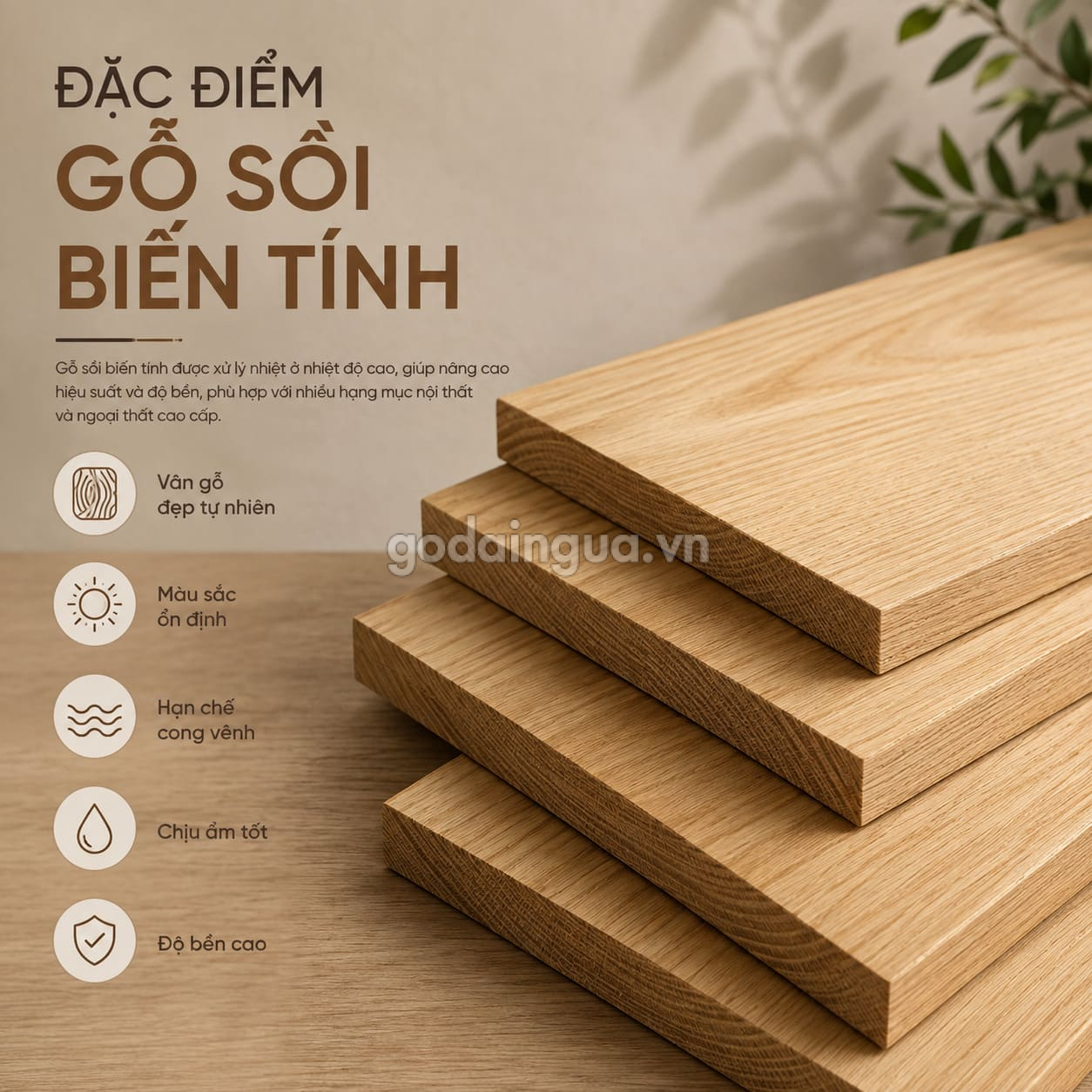 Đặc điểm của gỗ Sồi biến tính