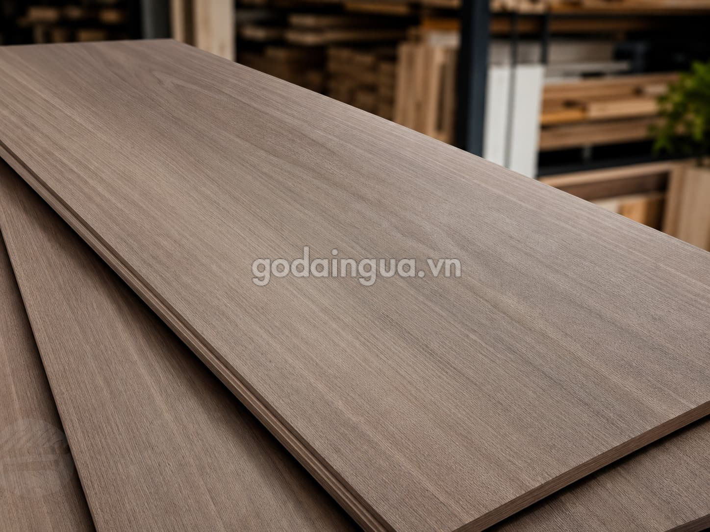 Giới thiệu gỗ Bạch Dương biến tính