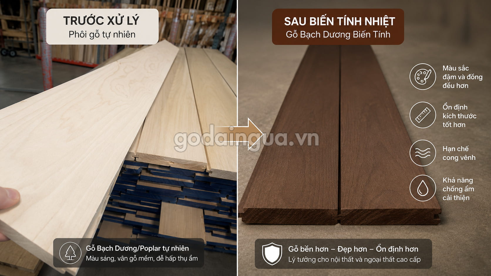 Hình ảnh cận cảnh màu sắc và vân gỗ của gỗ Bạch Dương biến tính