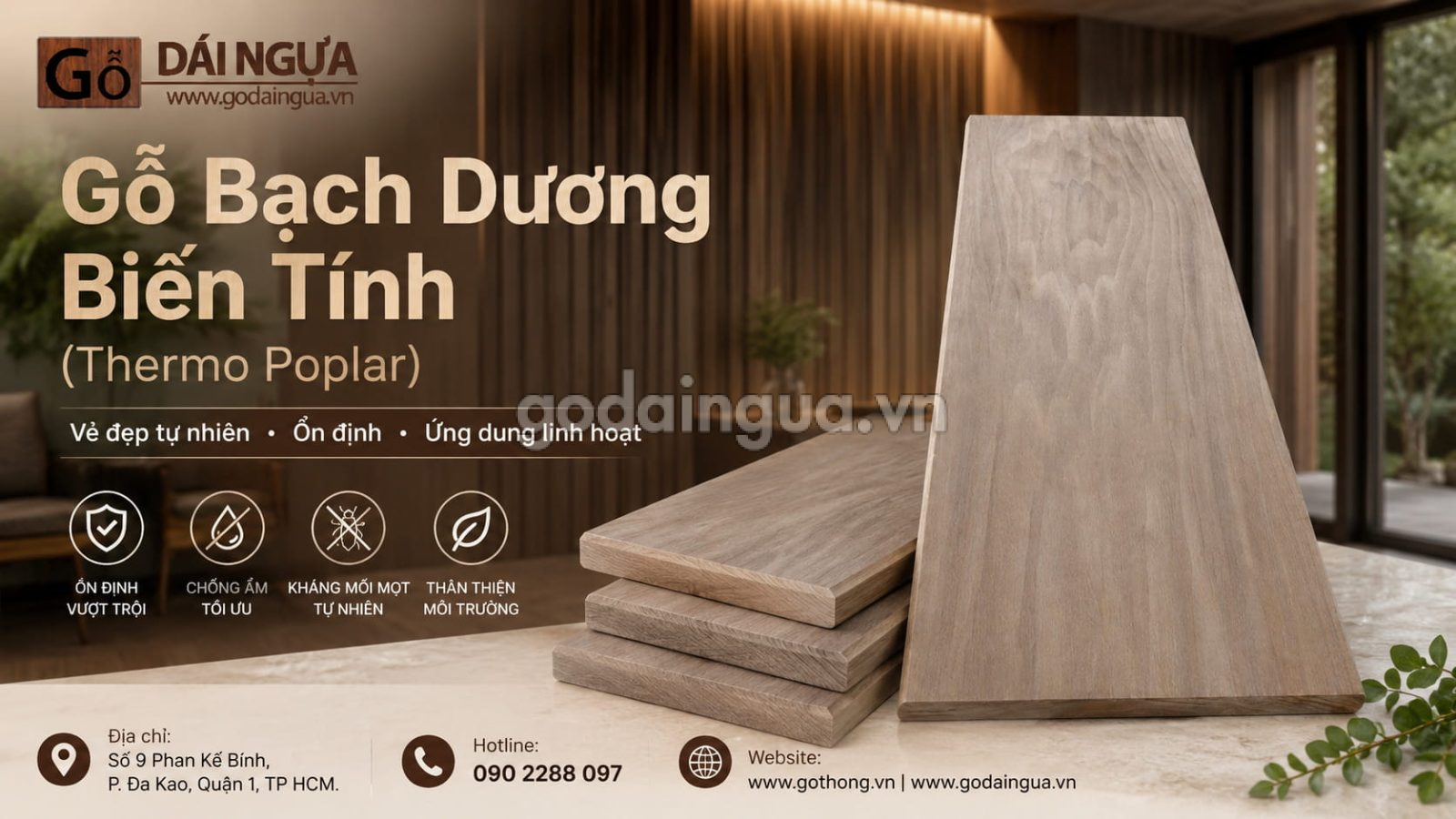 Xưởng gỗ Bạch Dương biến tính của Gỗ Dái Ngựa