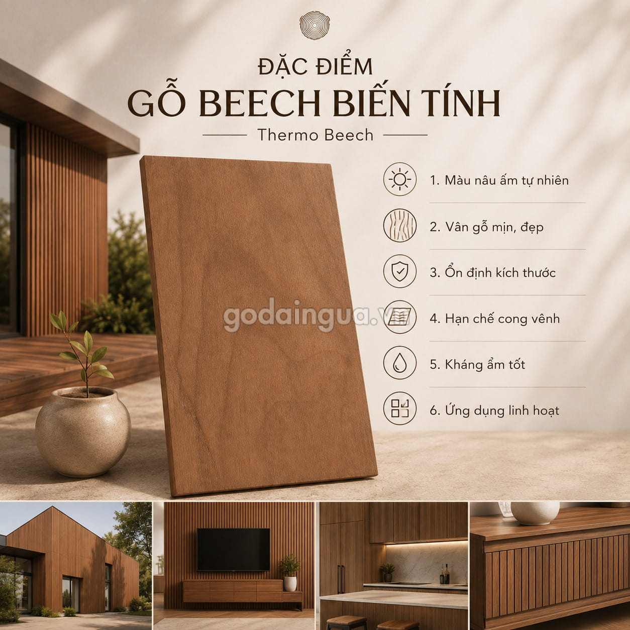 Đặc điểm của gỗ Beech biến tính